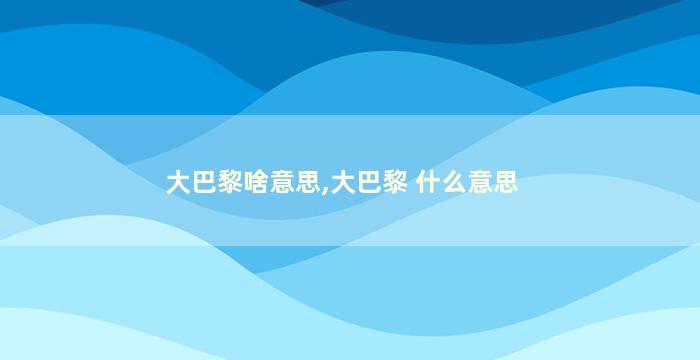 大巴黎啥意思,大巴黎 什么意思